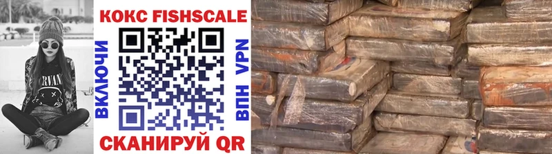 закладки darknet телеграм COCAIN 97% Жиздра