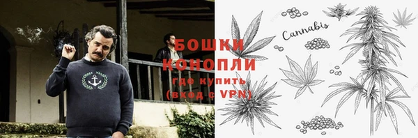 ECSTASY Белокуриха