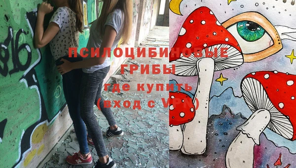 гидра Балабаново