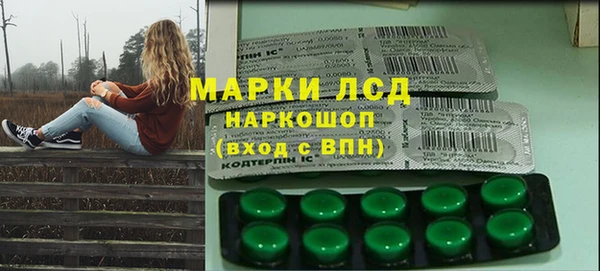 ECSTASY Белокуриха