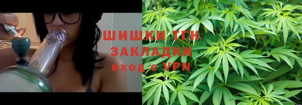 ECSTASY Белокуриха