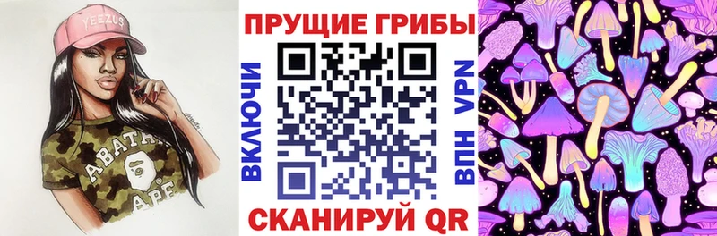 где купить   Жиздра  Псилоцибиновые грибы мицелий 